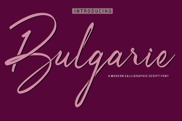 Bulgarie Font: Elegant Script for Web Design