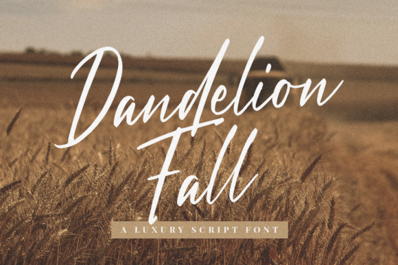 Dandelion Fall Font: Elegant Script for Web Design
