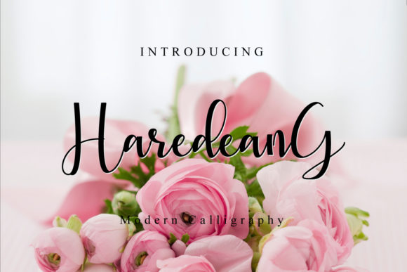 Haredeang: A Script Amp for Real Projects