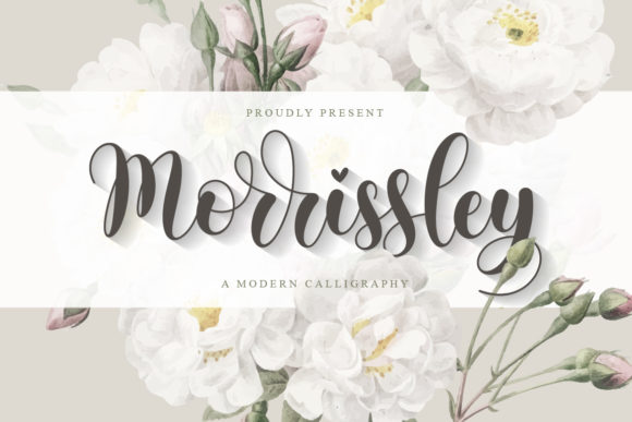 Morrissley: A Elegant Script Font