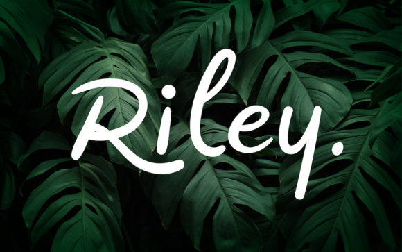Riley: A Font That Brings Business to Life