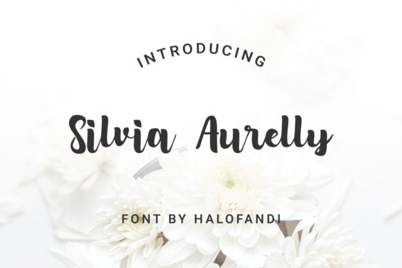 Silvia Aurelly Font for Web Design