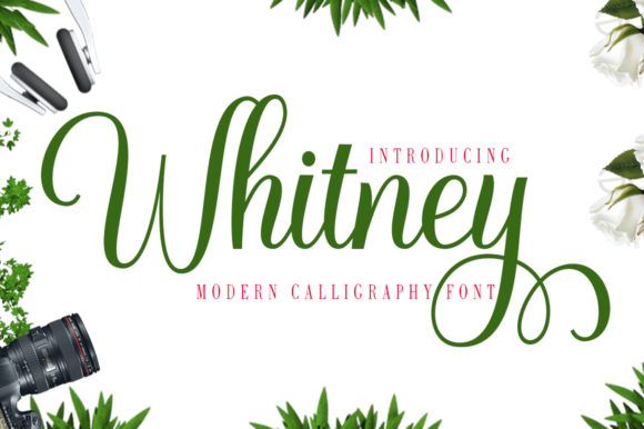 Whitney Font: Elegant and Professional